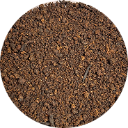 Assam Tea